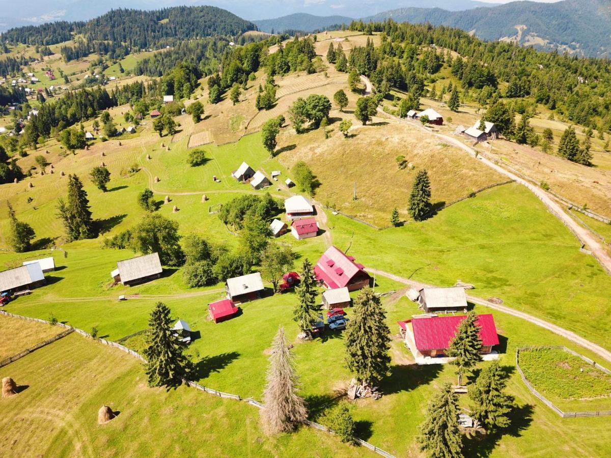 Daria Guest house Girda de Sus